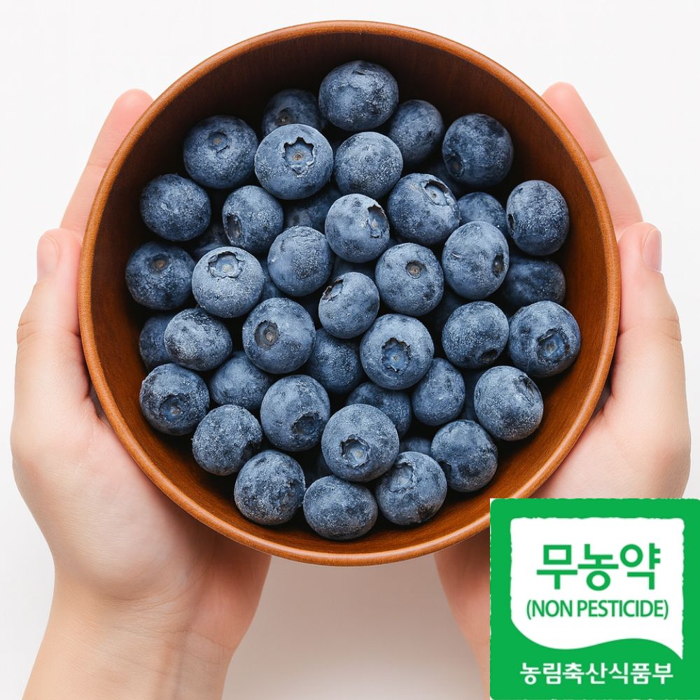 보은 친환경 무농약 블루베리농장 냉동블루베리