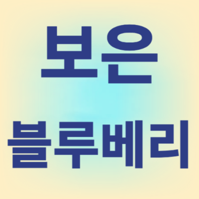 보은 블루베리 농장 대추 사과 속리산 특산품