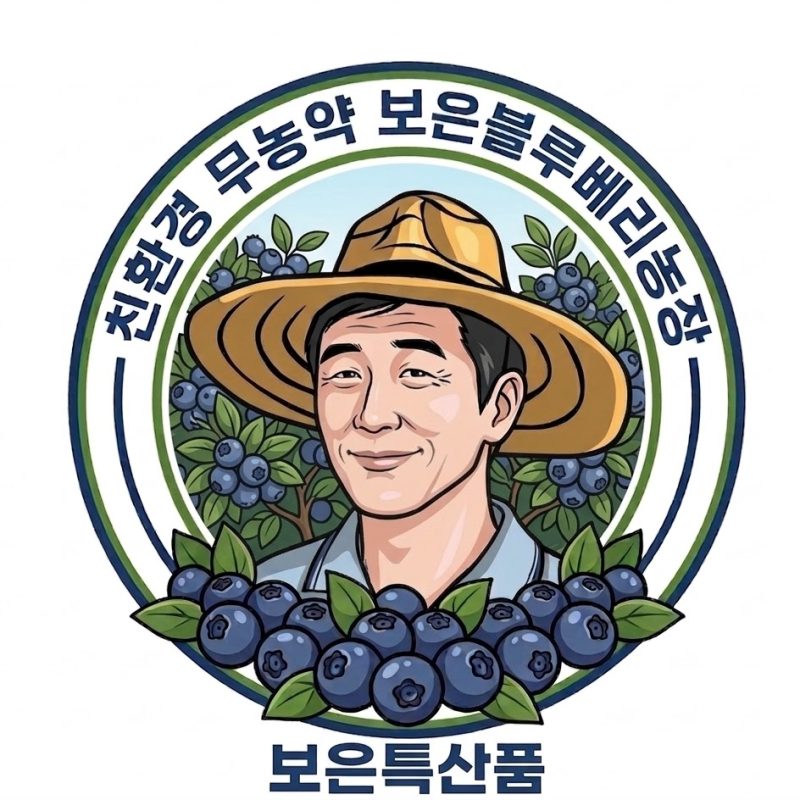 보은 속리산 블루베리농장 친환경 무농약 생블루베리 블루베리생과 냉동블루베리 산지직송